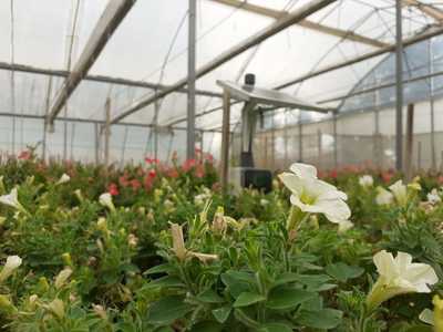 SenzAgro device at the indoor farm