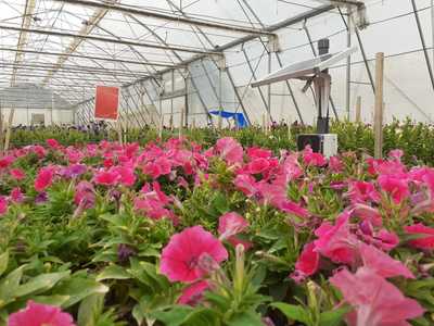 SenzAgro device at the indoor farm