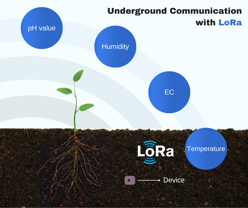 lora property