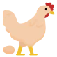 chicken chicken