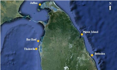 A Pilot Trial of an Oceanographic Monitoring System for Sri Lanka
