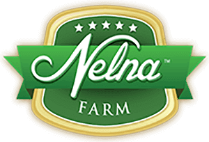 nelna Logo