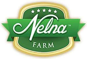 Nelna logo