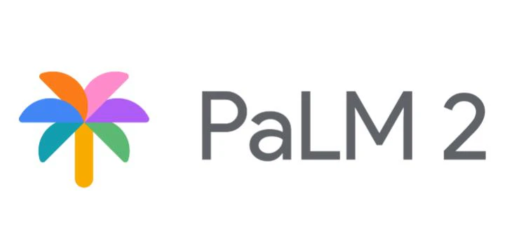 PALM2