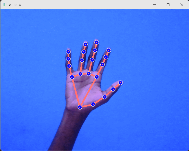 Video-based Computer Vision Applications