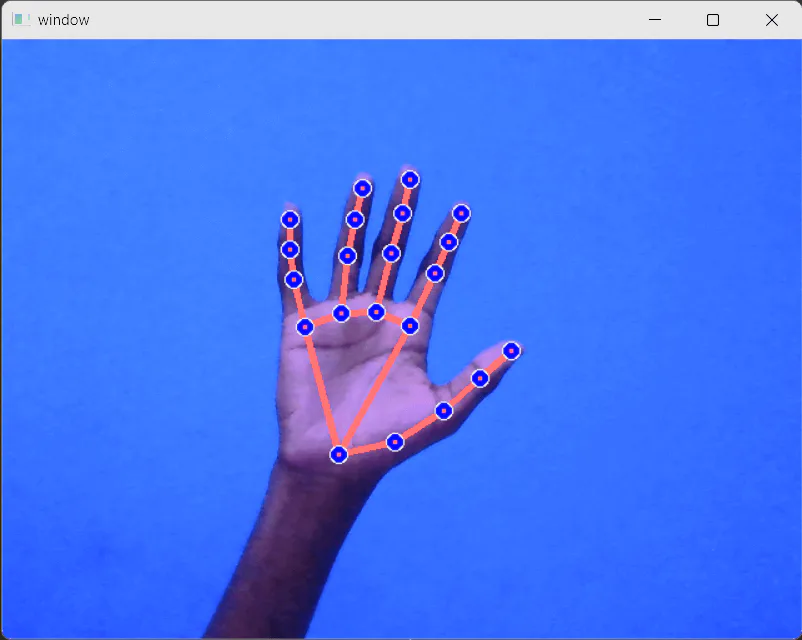 Video-based Computer Vision Applications