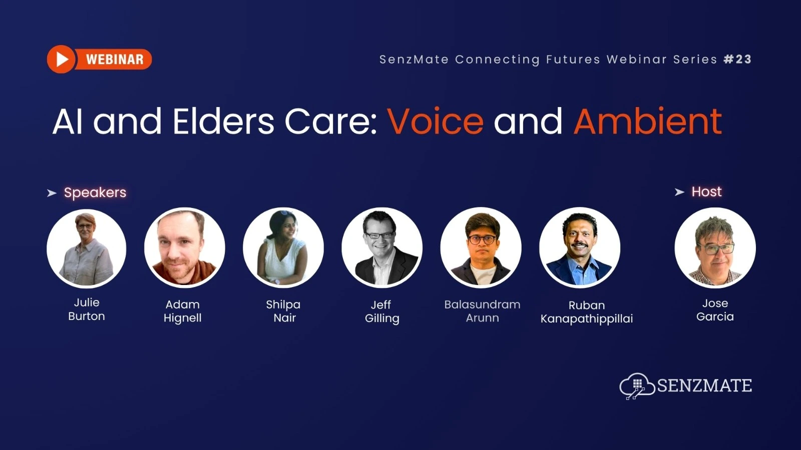 AI and Elders Care: Voice and Ambient